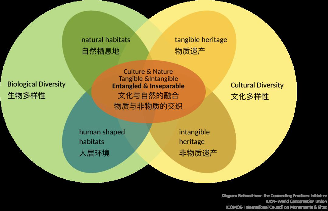 包含九游体育:运动员的社会角色：在团体中发挥领导力的词条