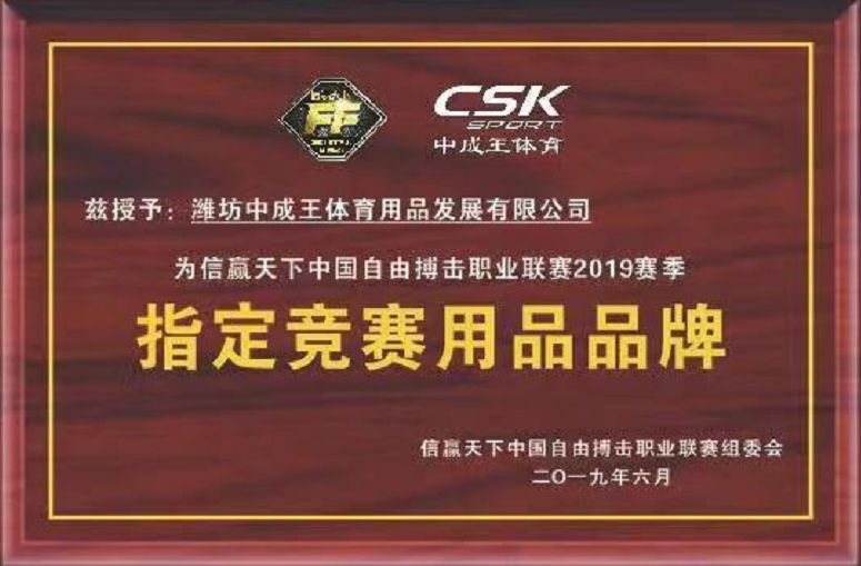 九游体育：WCBA联赛的赛场志愿者服务感悟分享：默默奉献，为联赛保驾护航的简单介绍