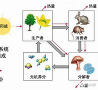 包含九游体育:LaLiga的明星对比:历史与现状的反思的词条 包含九游体育:LaLiga的明星对比:历史与现状的反思的词条