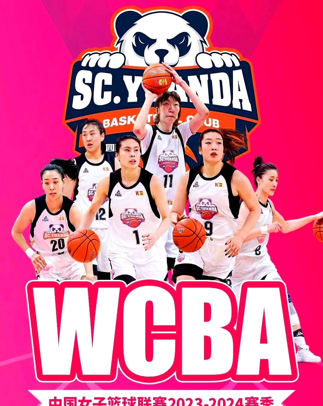 九游体育：WCBA联赛改革提速，职业化进程迎来新机遇的简单介绍