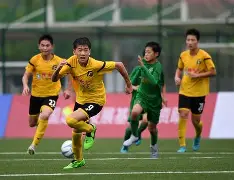 九游体育：法甲沙托鲁的青训体系与未来展望的简单介绍