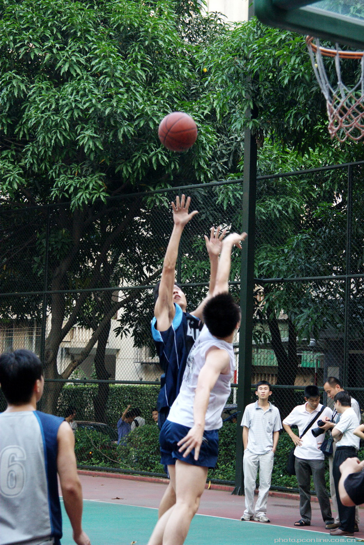 九游体育：篮球主题的摄影展：用镜头记录篮球的精彩瞬间的简单介绍