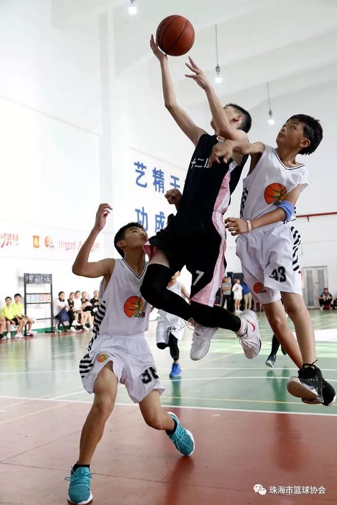 九游体育:中国篮球改革方案出炉,未来发展方向明确 九游体育:中国篮球改革方案出炉,未来发展方向明确